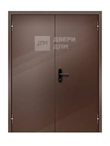 Противопожарная дверь внутреннего открывания двупольная с дополнительной петлей EI-60 ДП-241