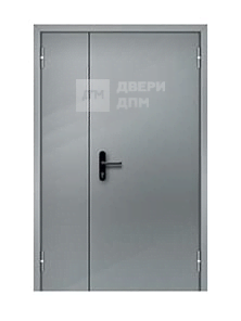 Противопожарная дверь в торговый центр ДП-291